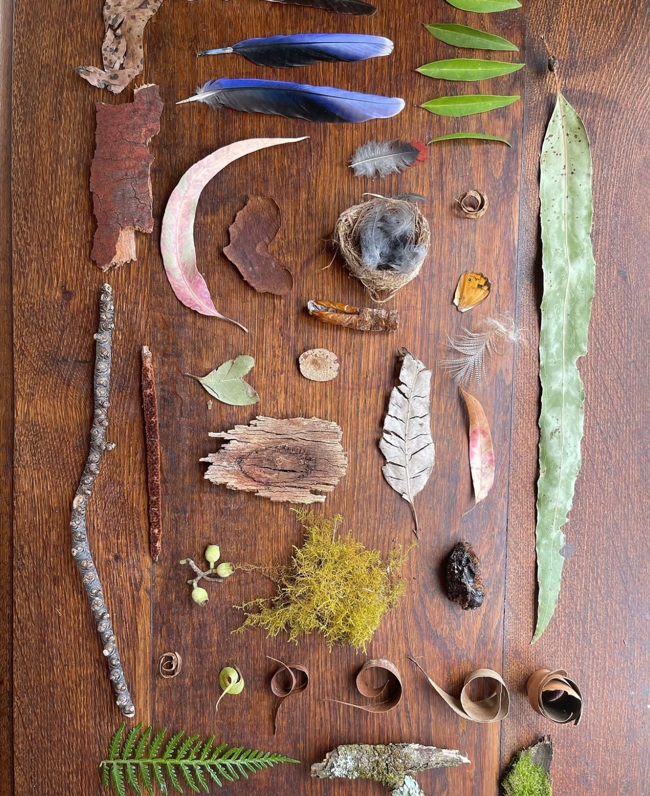 HARA Highlights 03. April