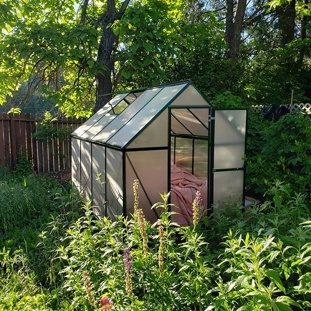 10 Nature Soundscapes to restore you