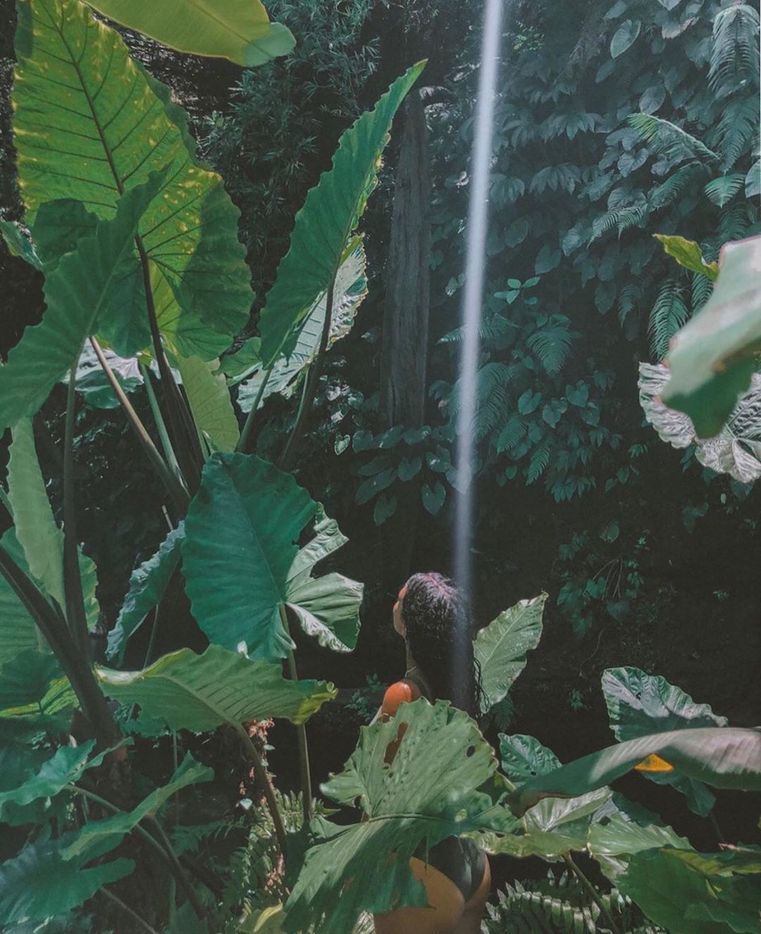 How To Sprout Your Own Seeds