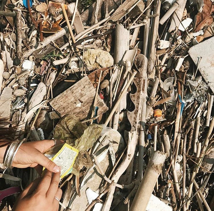 Litter Bug - 5 techie projects tackling plastic waste