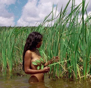 A beginner's guide to Ecofeminism