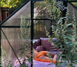 For the love of trees 🌳🌲🌴🌳🌲🌴🌳🌲🌴🌳🌲🌴