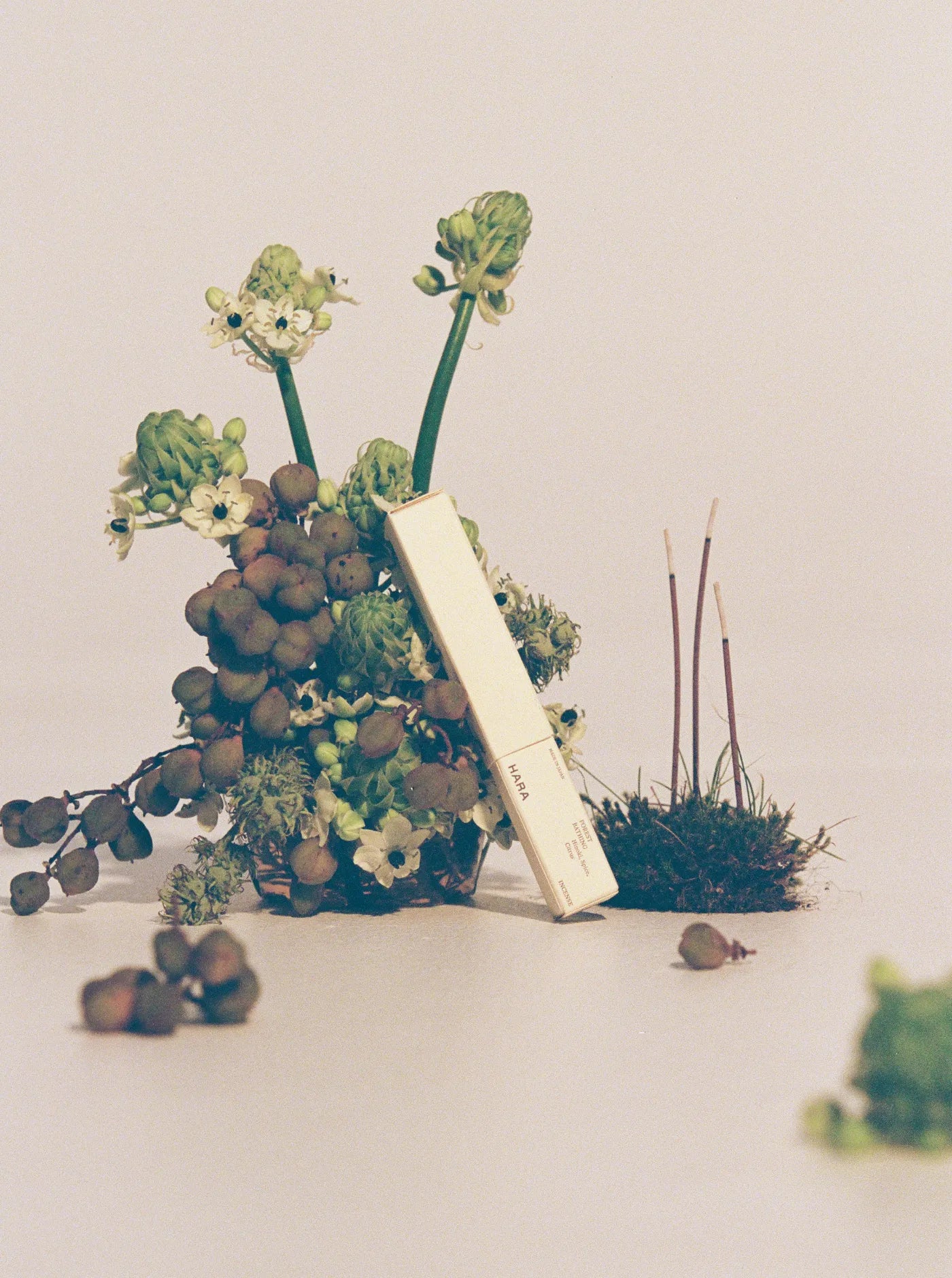 Forest Bathing Natural Incense