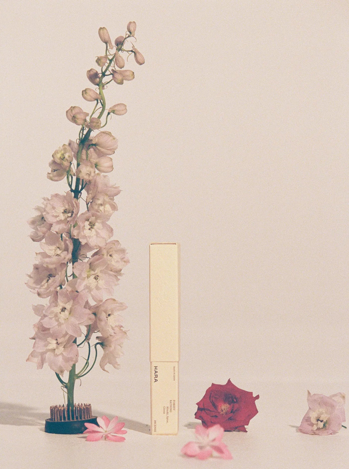 Forest Bathing Natural Incense