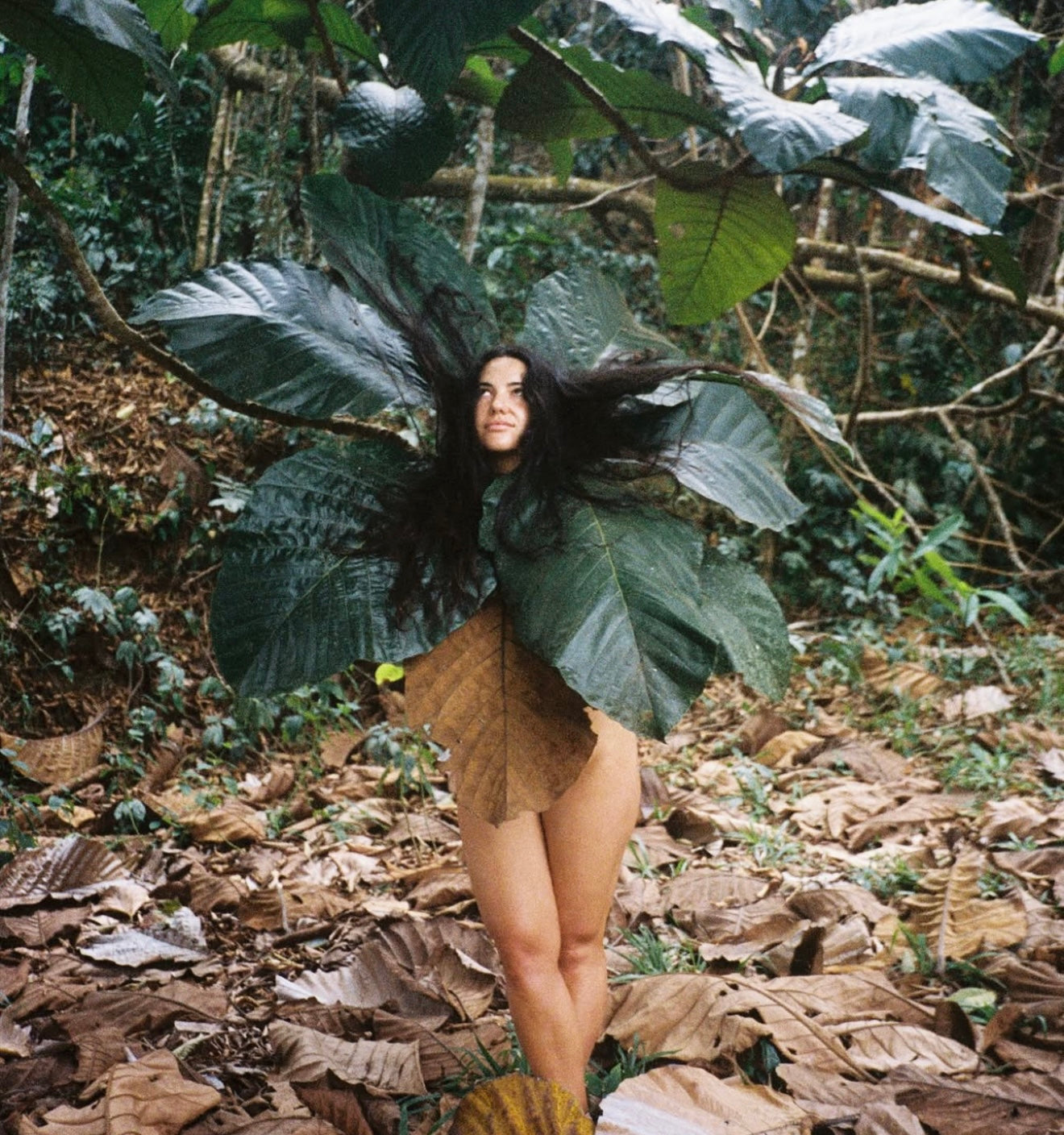 New Moon Solar Eclipse in Virgo