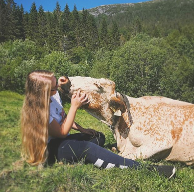 If you're struggling with Veganuary - maybe Reducetarian is your label!