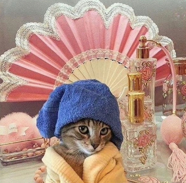 Light relief in dark times