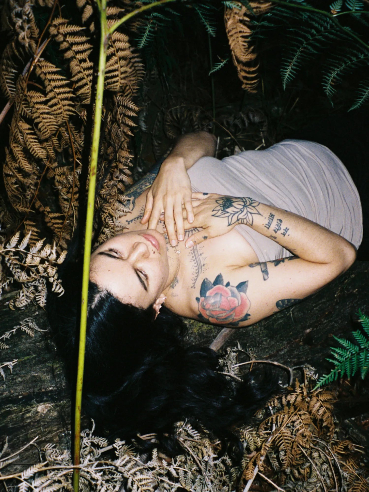 Forest Bathing Natural Incense