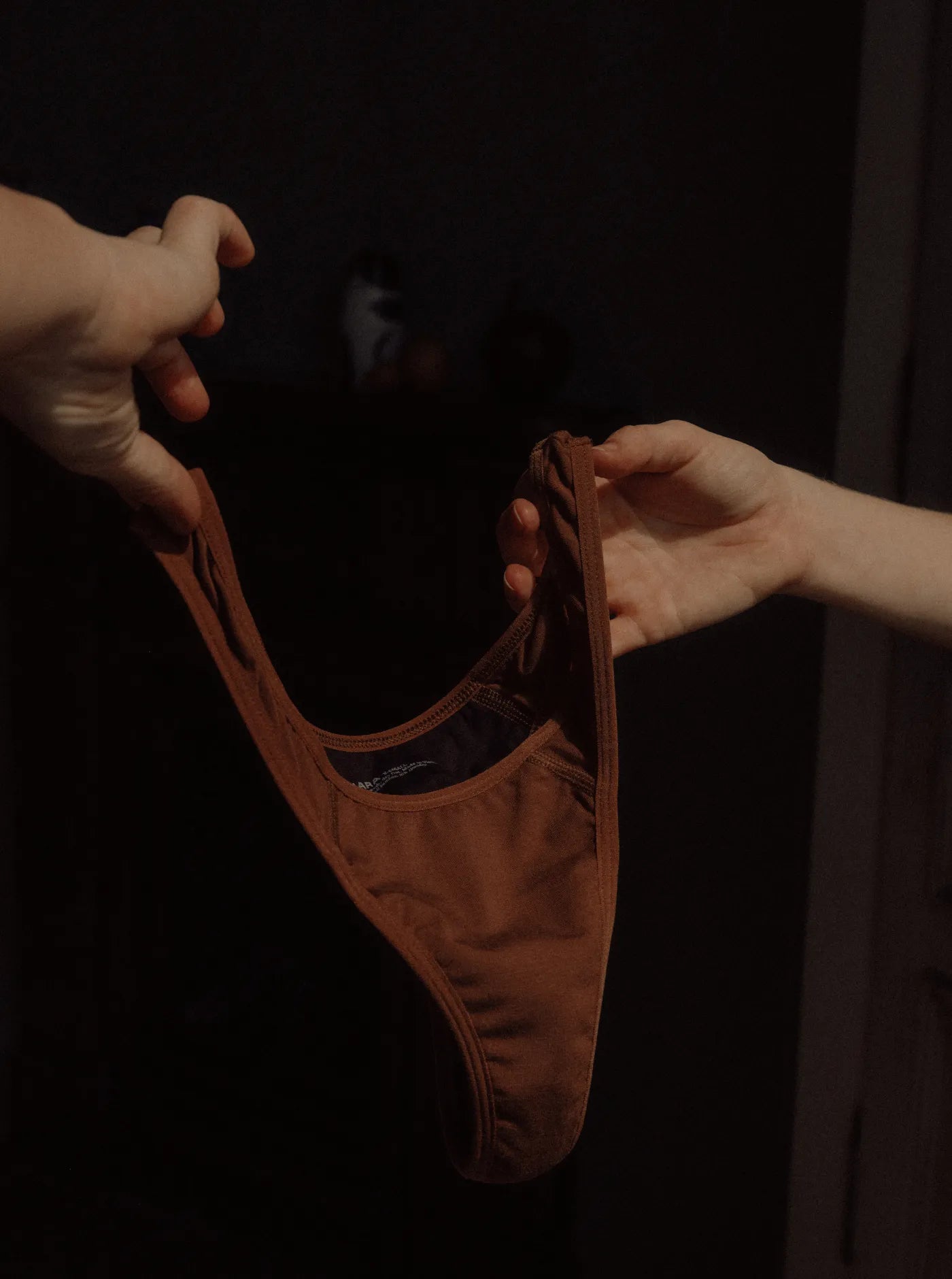 Period & Leakproof G-string Earth